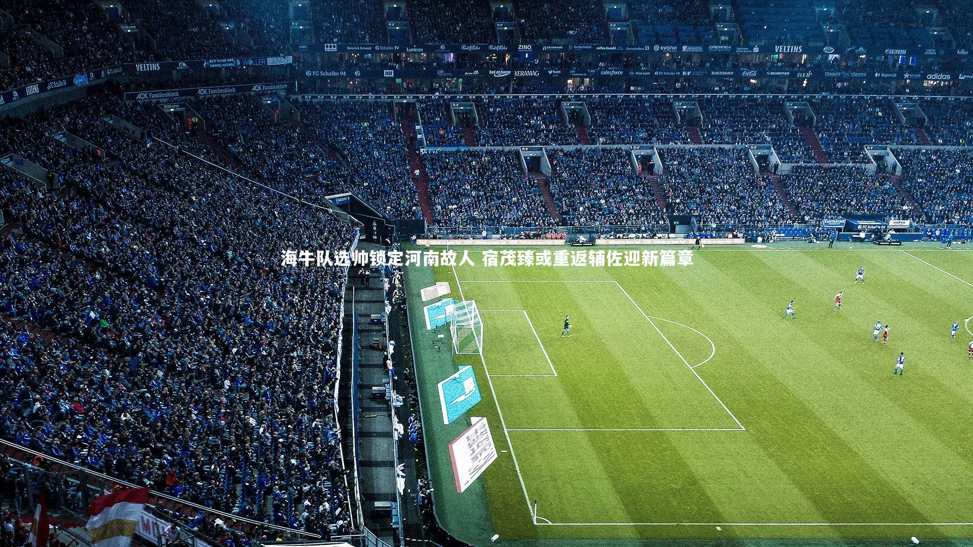 海牛队选帅锁定河南故人 宿茂臻或重返辅佐迎新篇章