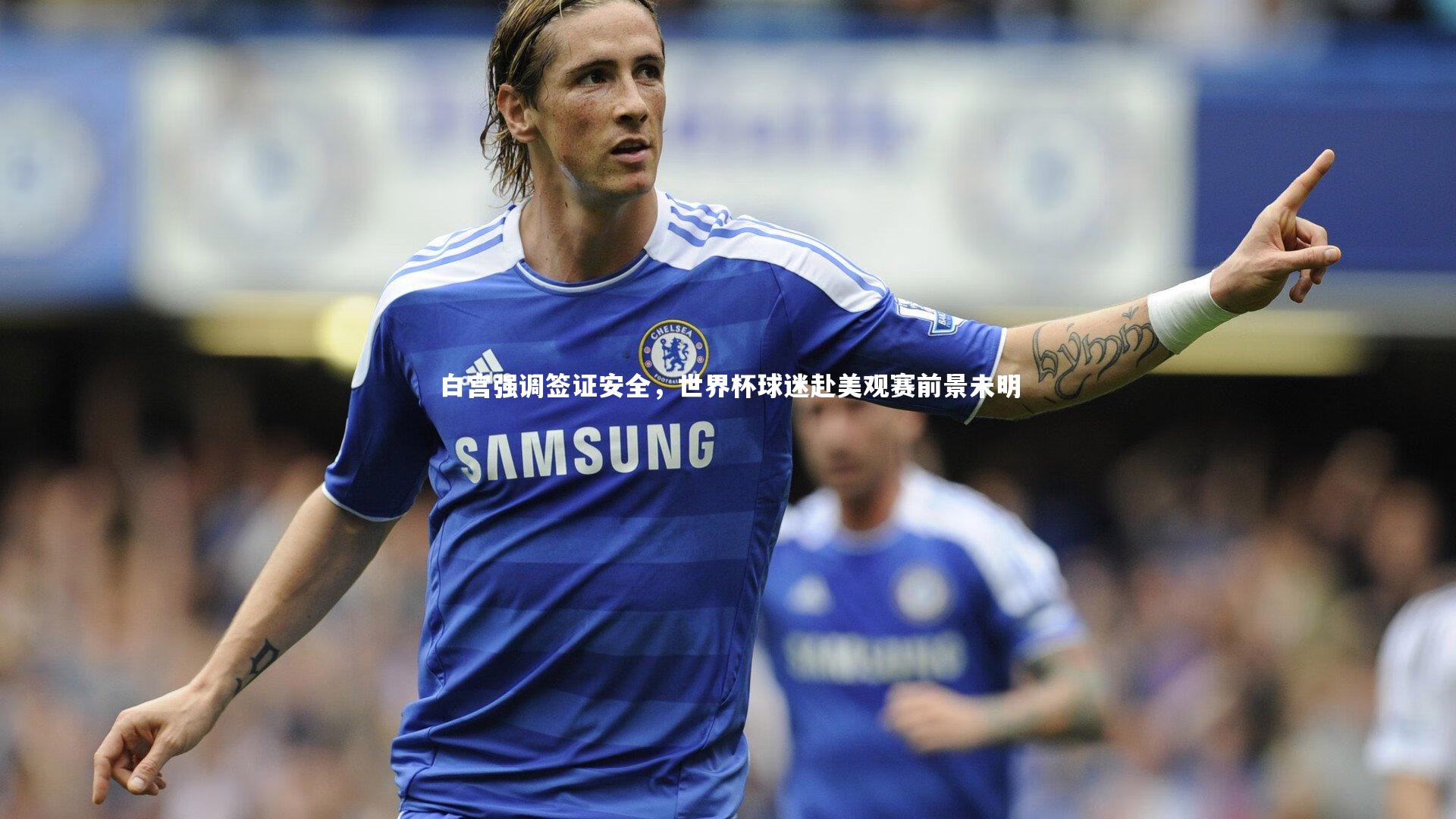 白宫强调签证安全，世界杯球迷赴美观赛前景未明